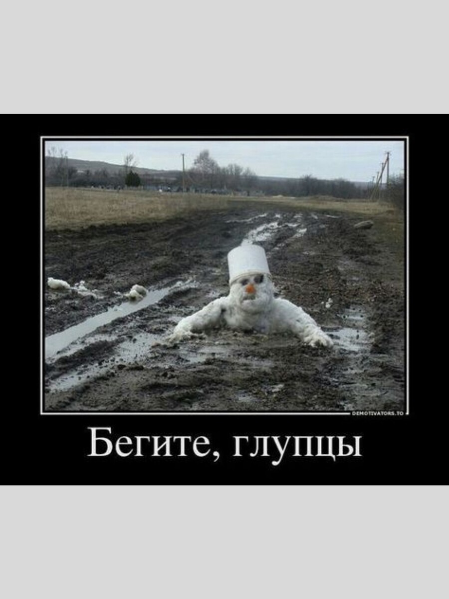 Смешные картинки про птиц
