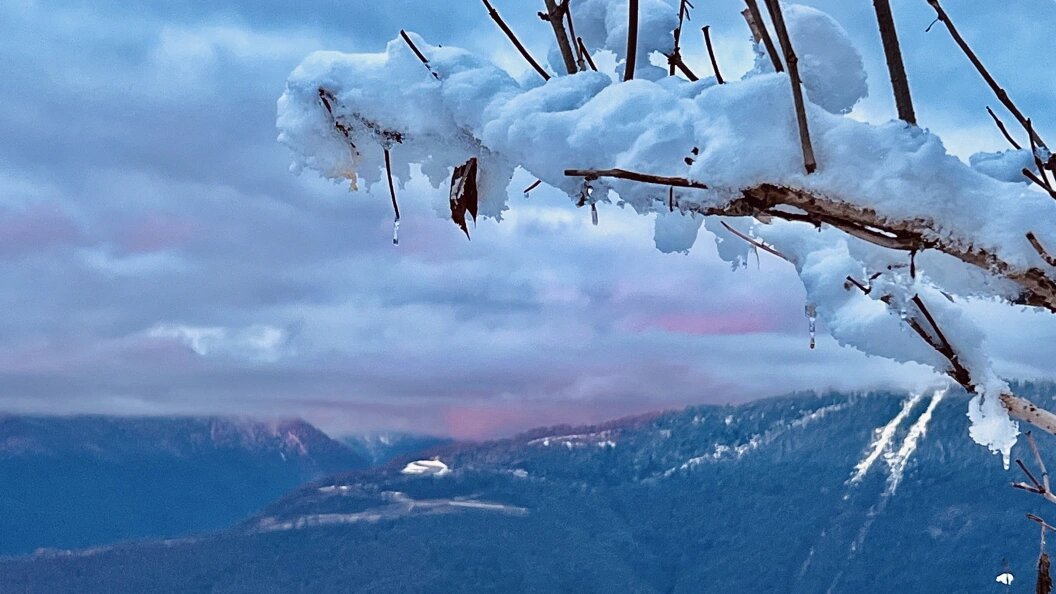    Фото: Царьград