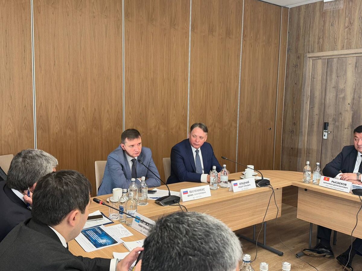 Участники встречи руководителей Системного оператора и энергокомпаний Центральной Азии