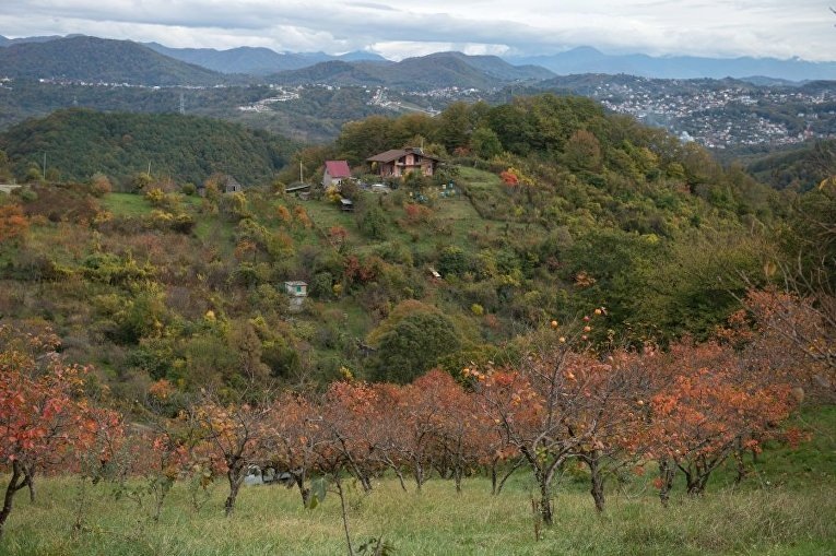 © РИА Новости. , Нина Зотина