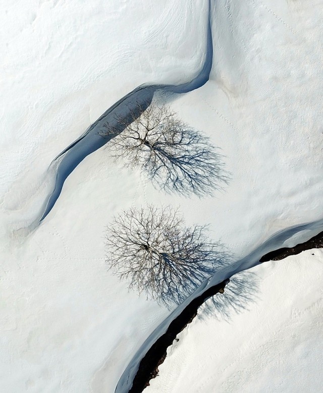 Фотограф Дарвишали Мехри
