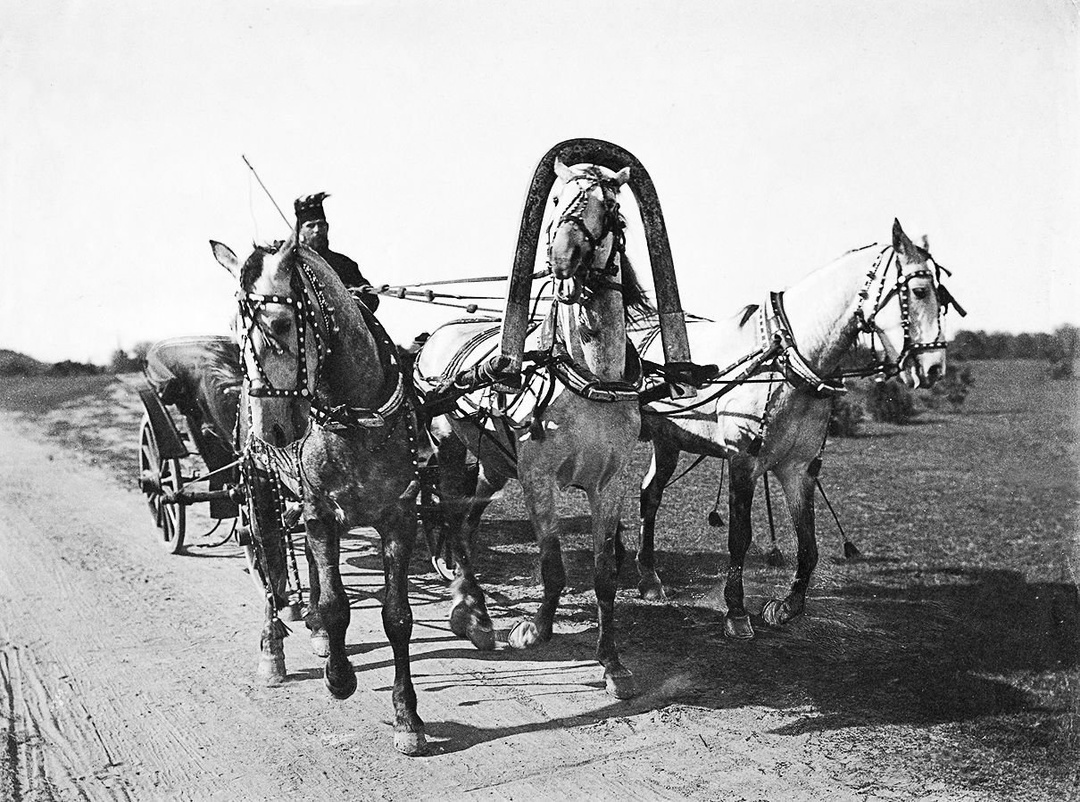 Птица-тройка