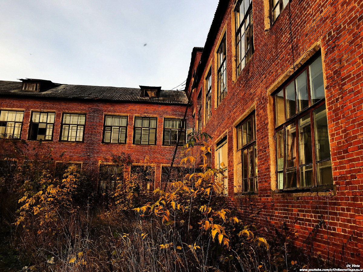 Задний двор