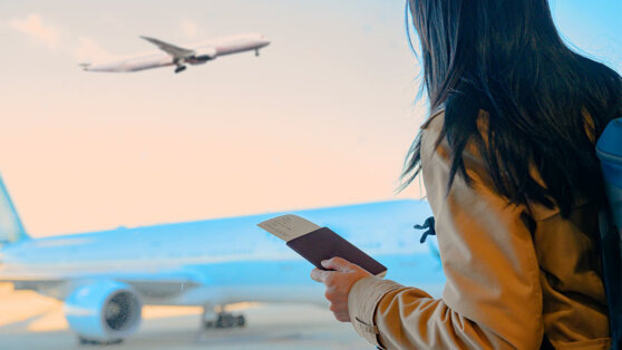    Российские авиакомпании обяжут сформировать к сентябрю 2025 года ценовые политики Ирина Петрова