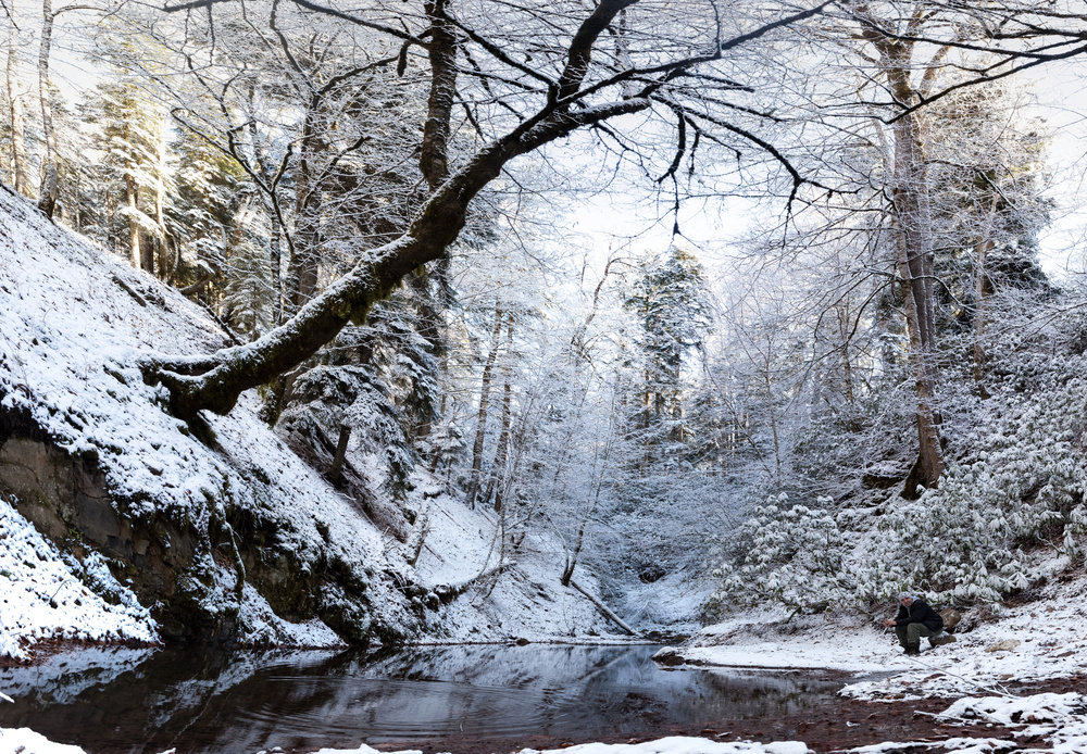 Фото: EvgeniyQ / Фотобанк «Фотодженика»
