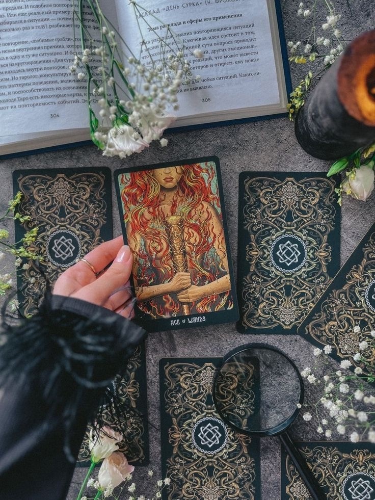 таро прогноз