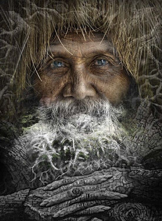Фото из источников интернета. Старик и лес.