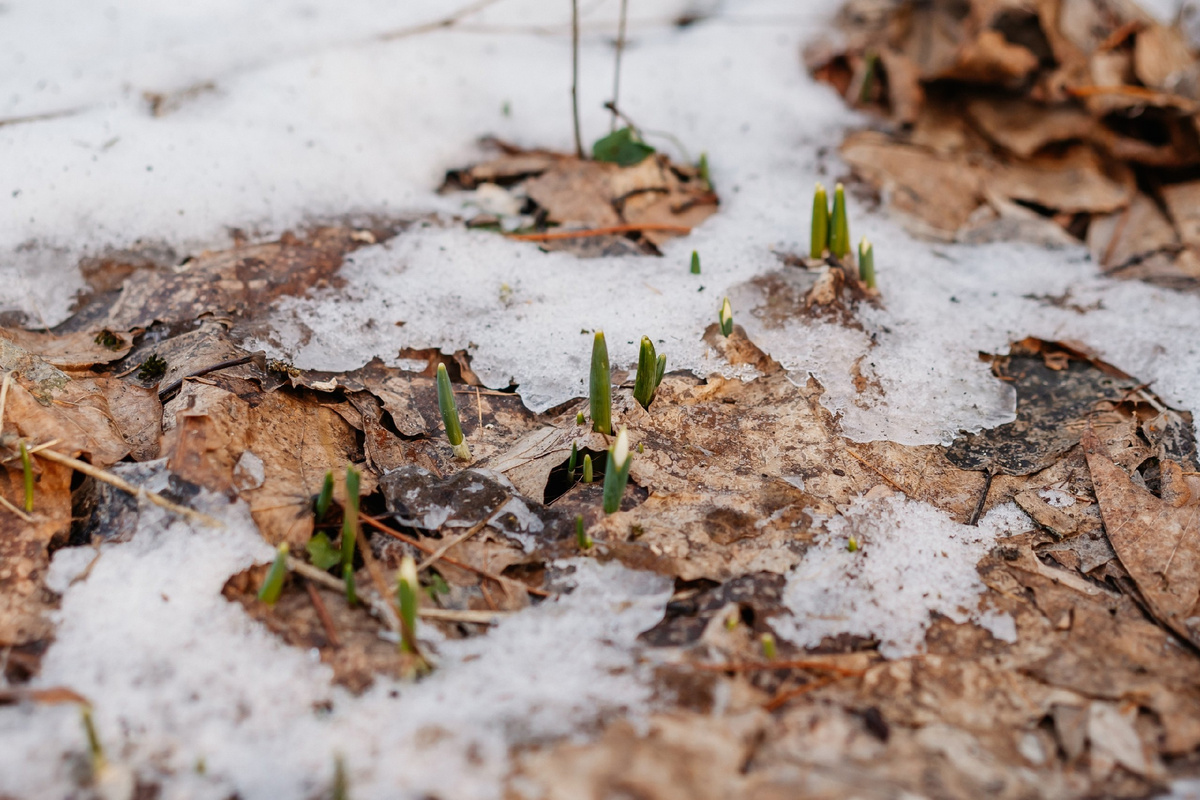 Фото: Школьников Максим/РИА Верхневолжье