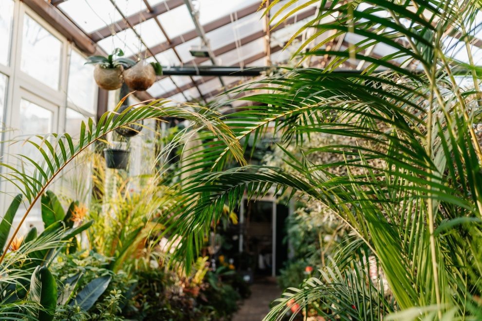 Фото: Школьников Максим/РИА Верхневолжье