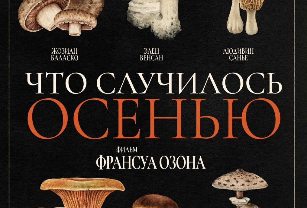 Изображение - интернет.