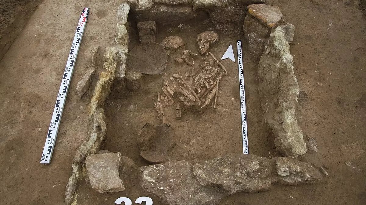     Автор: wikimedia.org/Яцюк Д. А./cc by sa/иллюстрация