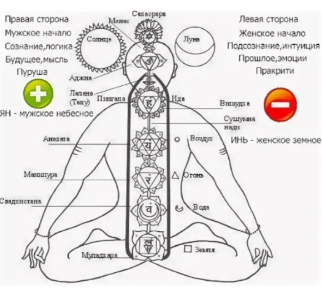 Фото 1 из источников интернета 