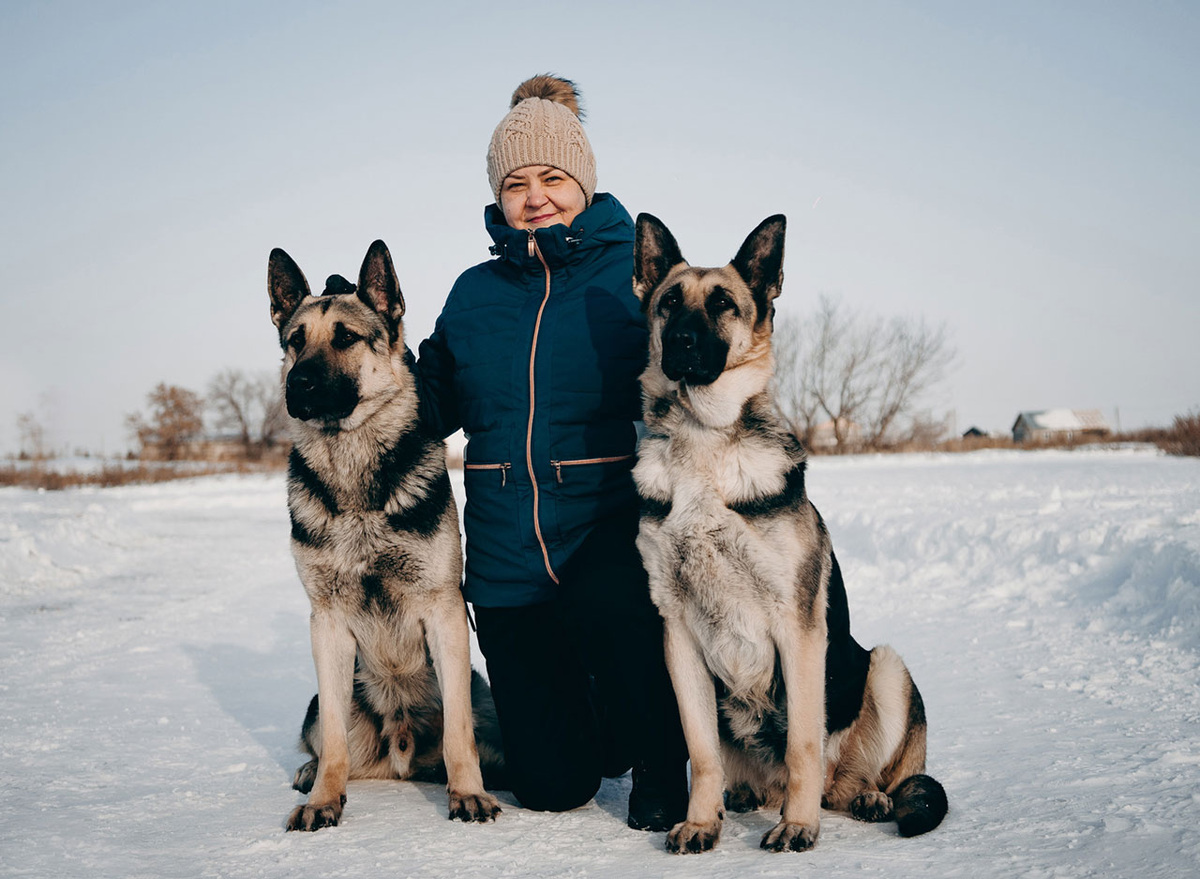 ВЕО имеет особое положение среди всех отечественных пород. Вокруг неё не утихают споры, скандалы, а любители этих собак образуют настоящие культы.