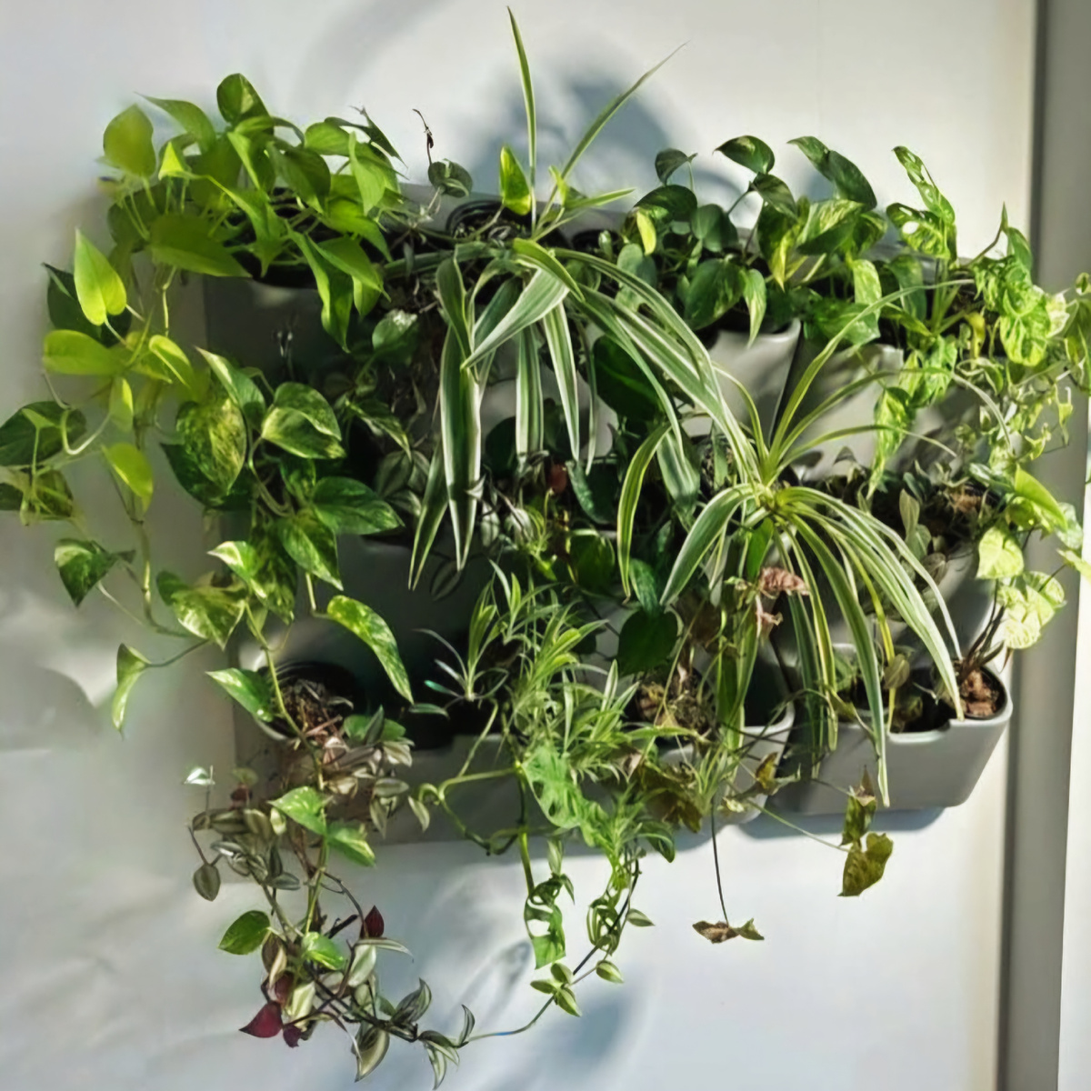 Примерно вот так. Фото из интернета 