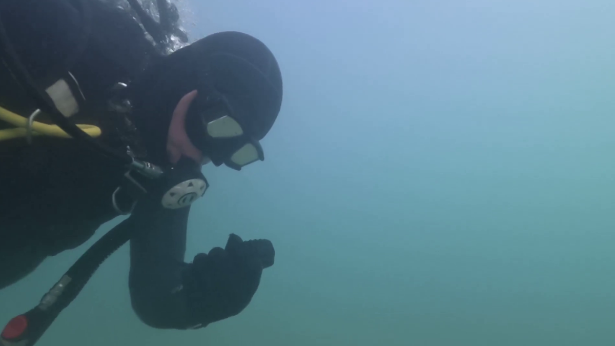 Фото: скриншот из видеоролика