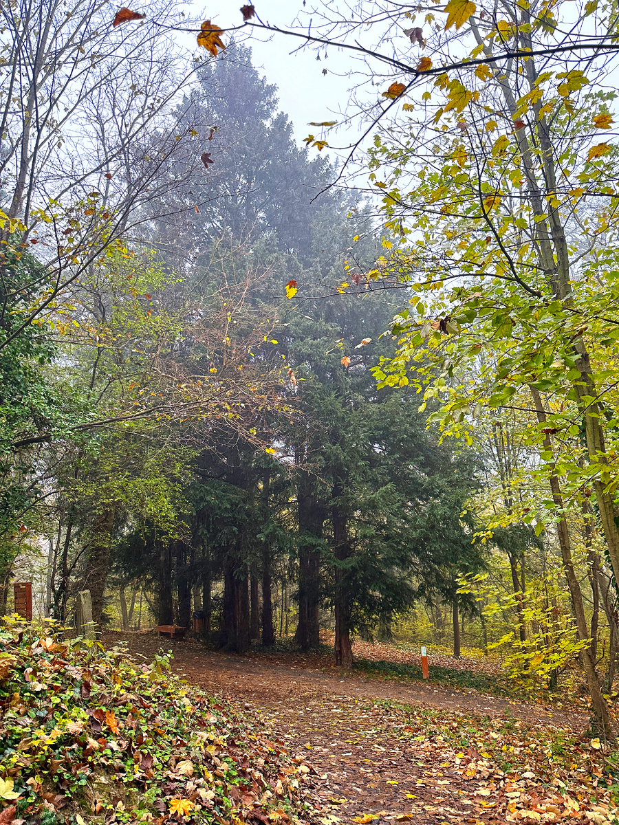 В парке только пара скупых указателей у самого входа. Фото автора