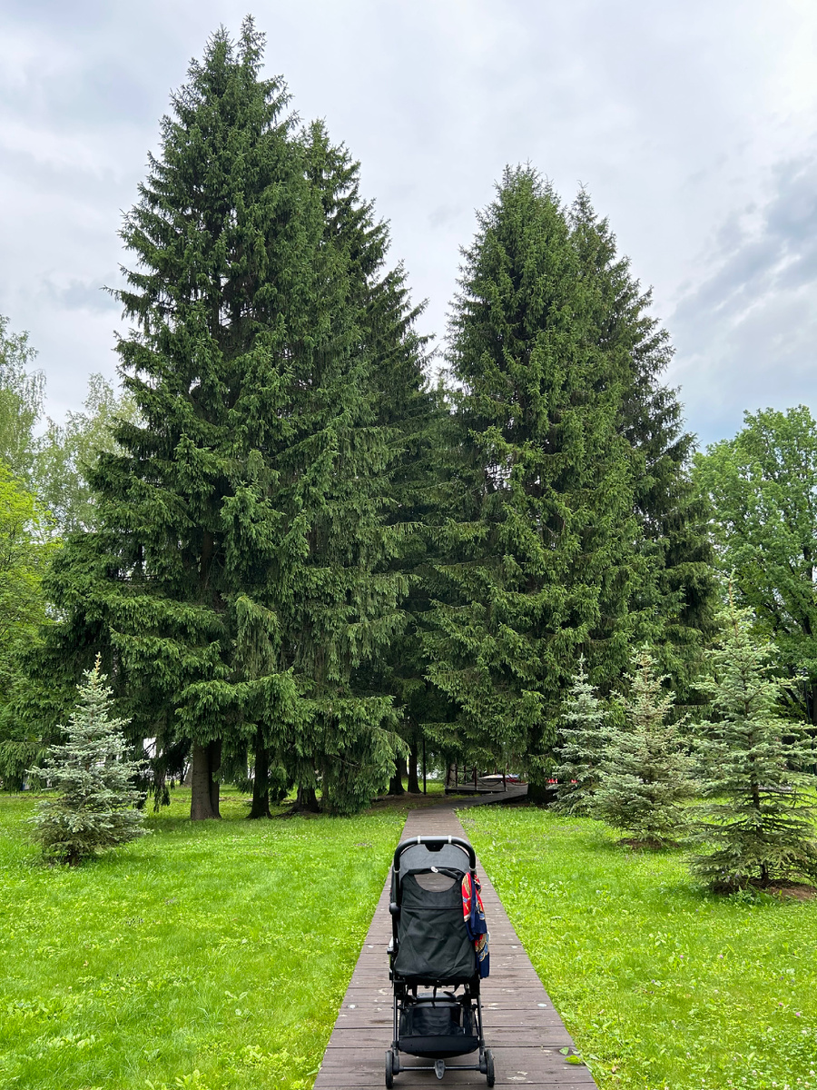 фото сделано во время одной из семейных поездок на отдых
