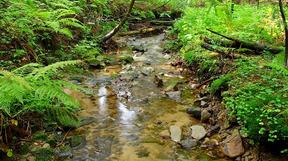 Фото из интернета