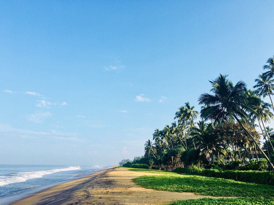 Фото: Екатерина Горшкова