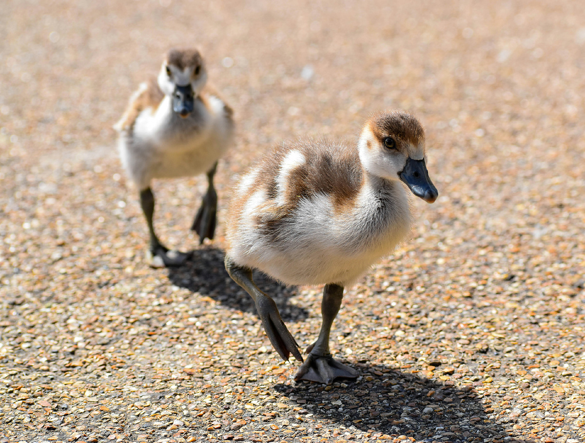 Картинка с бесплатного фотостока https://unsplash.com, автор JRT Menson