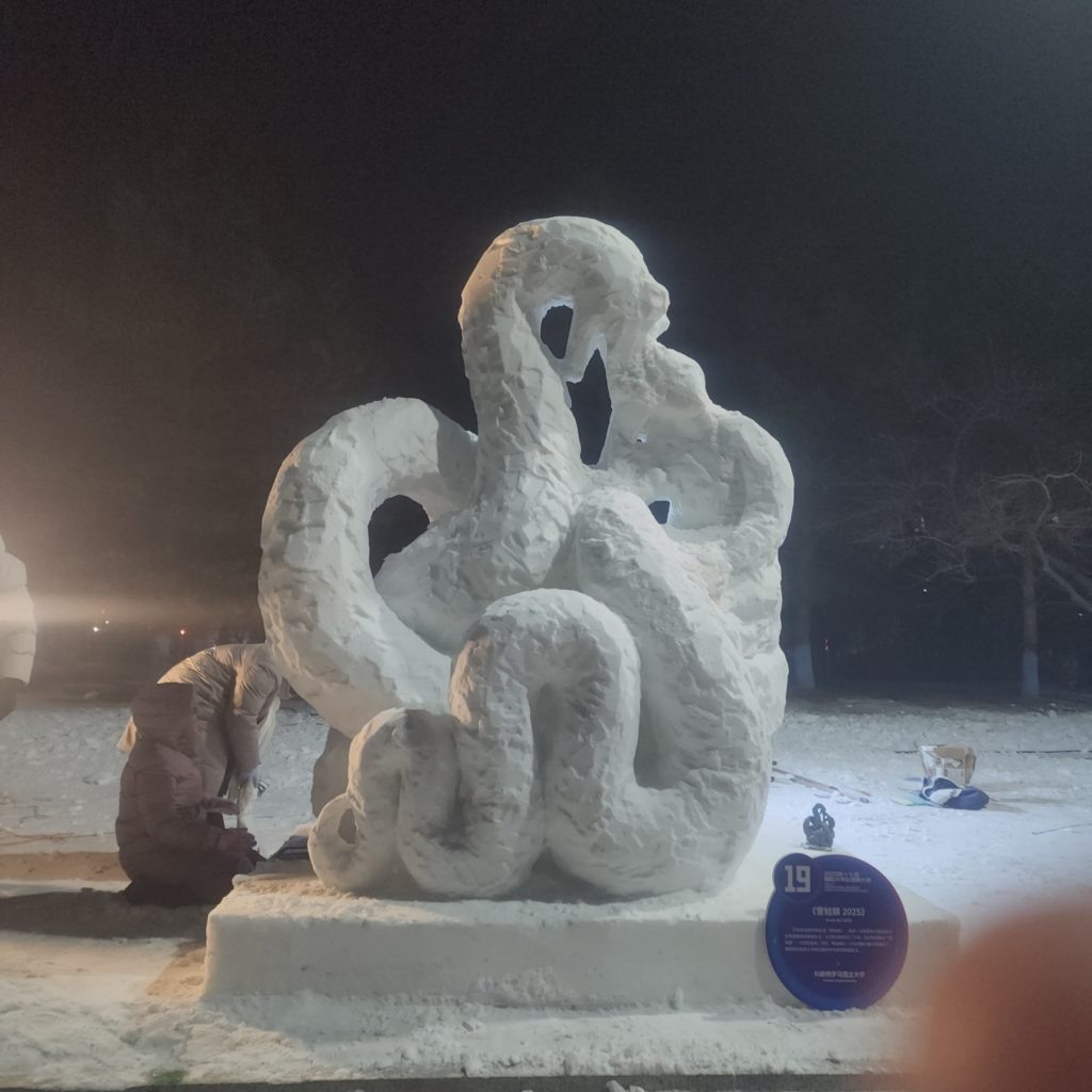    ФОТО: vk.com/international_ksu