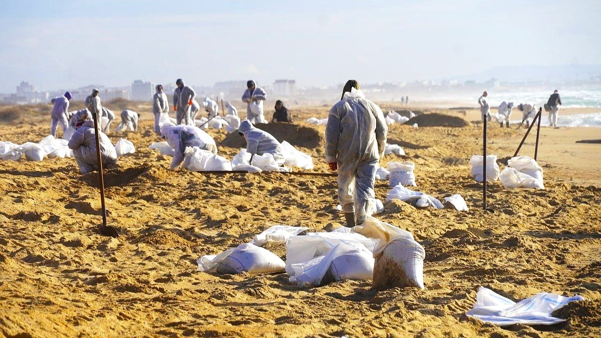    Югорчане отправятся с экологической миссией в Анапу