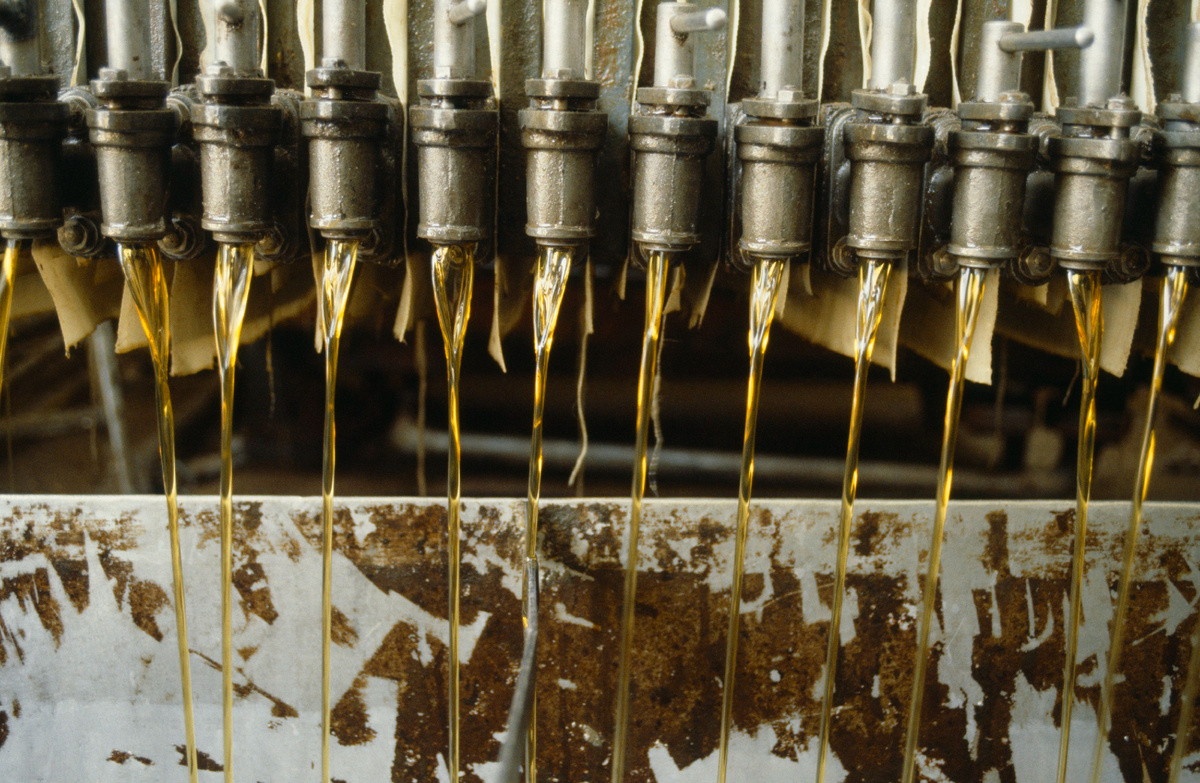 Фото: ©/ eye ubiquitous / hutchison/ Global Look Press