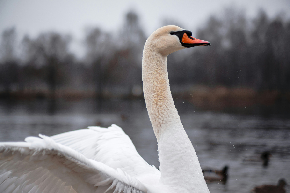 Картинка с бесплатного фотостока https://unsplash.com, автор Vadim Bogulov