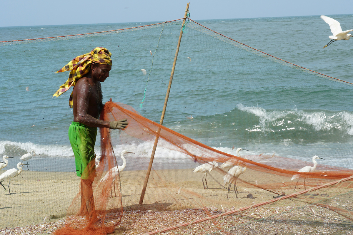 Картинка с бесплатного фотостока https://unsplash.com, автор Sheila C