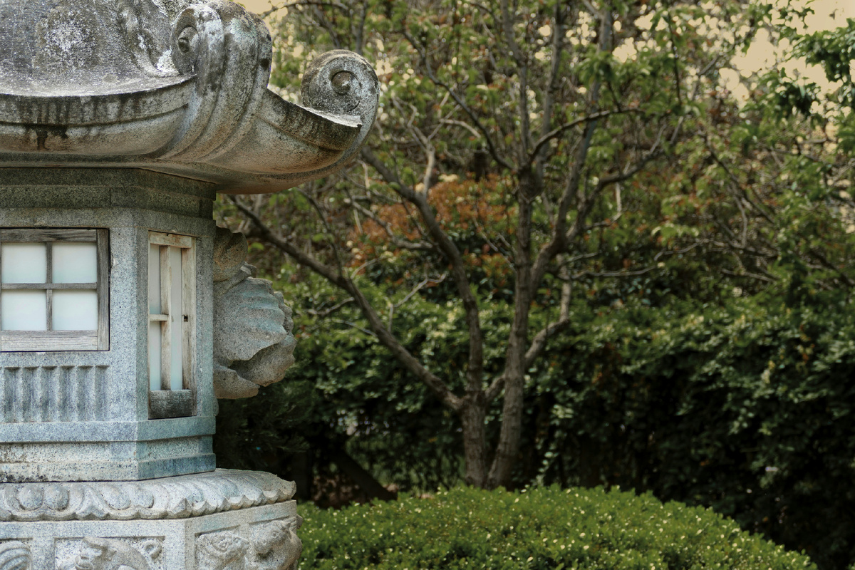 Картинка с бесплатного фотостока https://unsplash.com, автор Vlad Kutepov