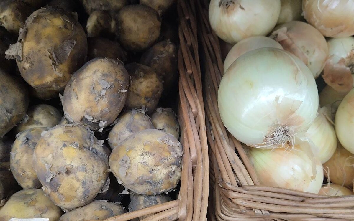 фото: АПК Новости