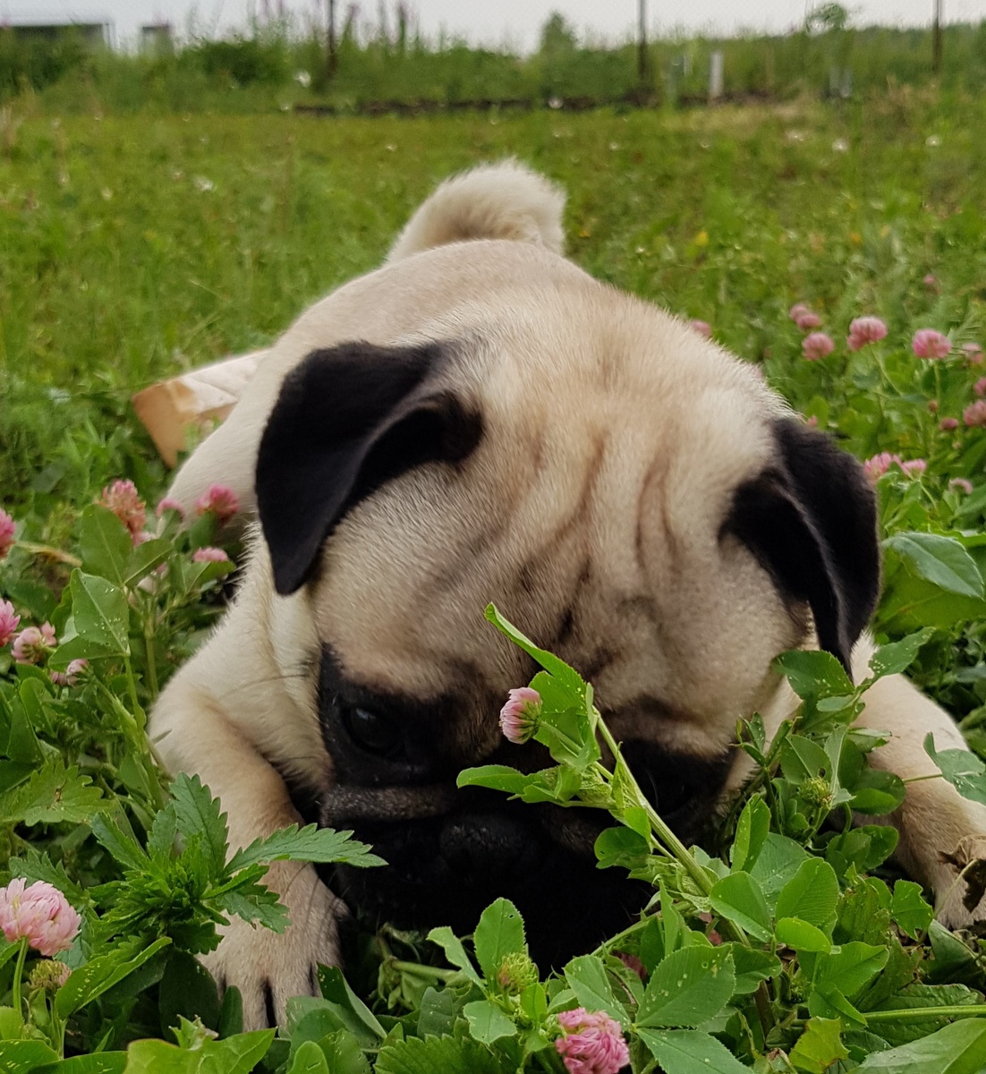 Фото из личного архива