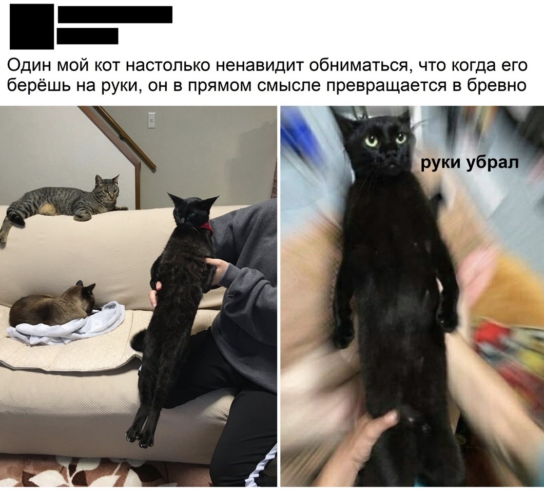 Это прям Я :) фото из интернета