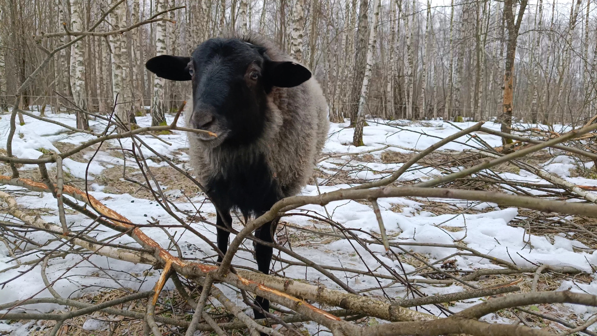 И вот под этой личиной скрывался, блин, уголовник... 