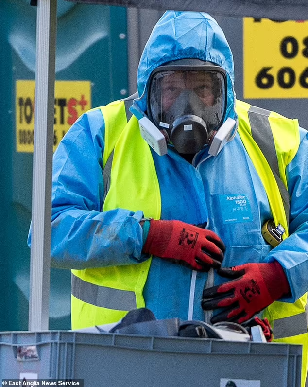 В Англии выявлен случай заражения человека птичьим гриппом — после предупреждений о том, что вирус может мутировать и стать более заразным для людей