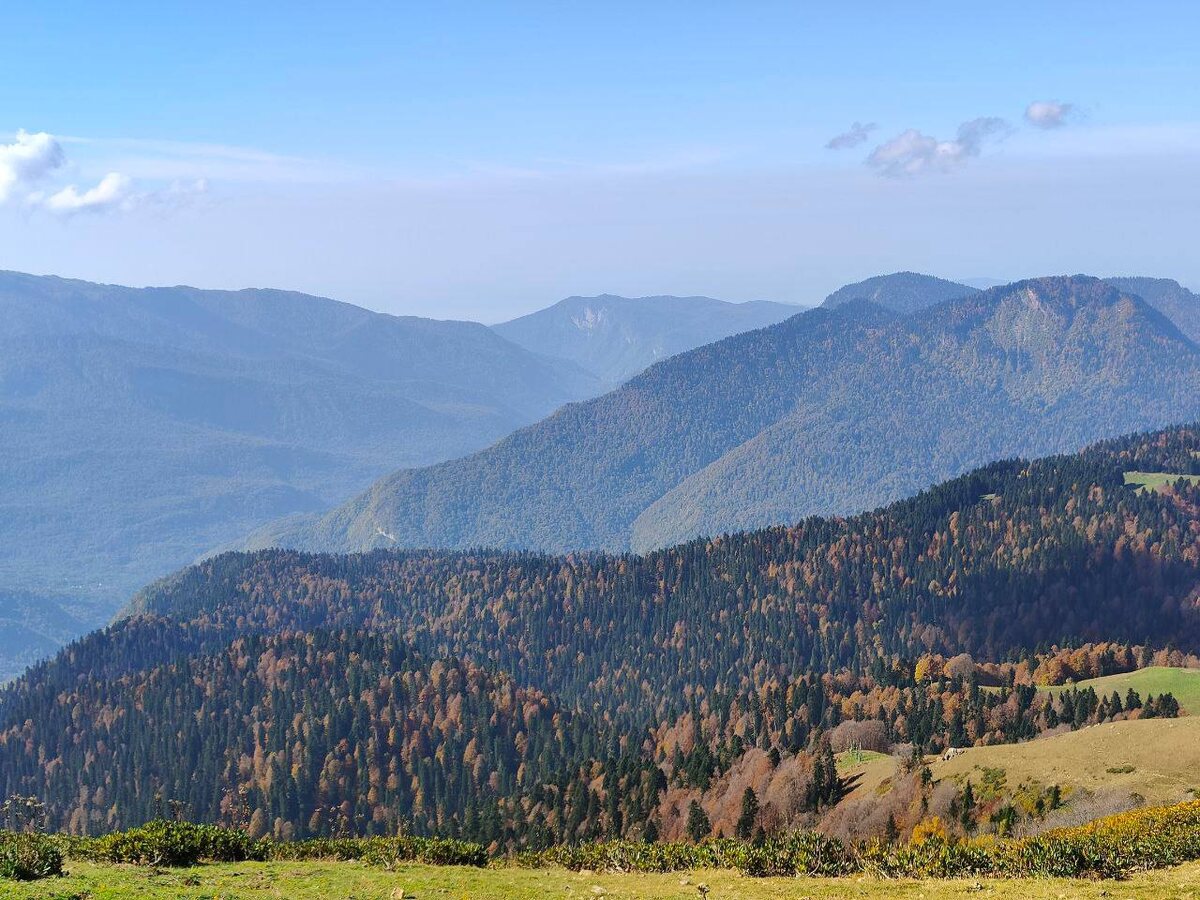 Фото: пресс-служба Сочинского нацпарка  📷

