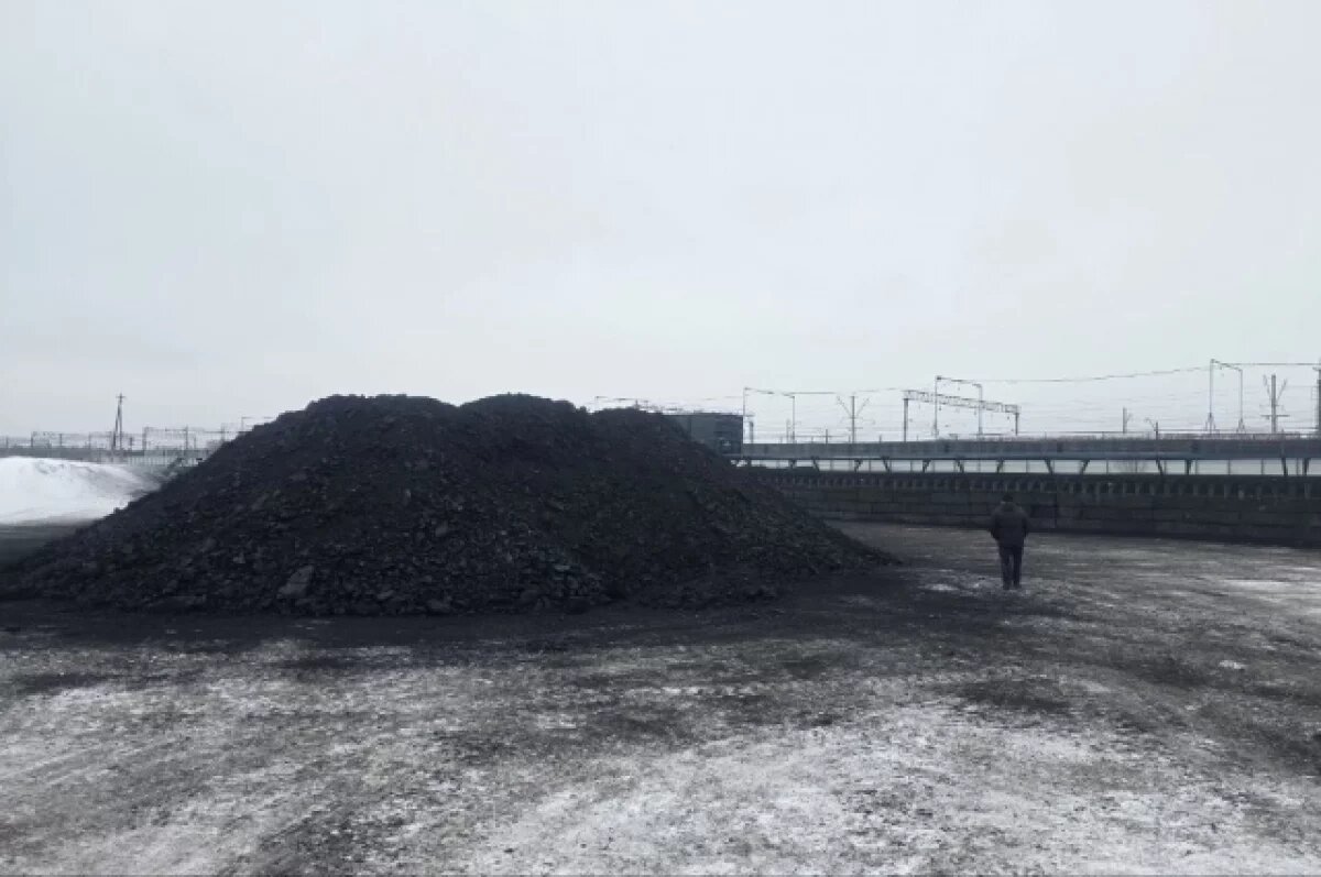    Власти Кузбасса опровергли отсутствие угля, но люди с этим не согласились