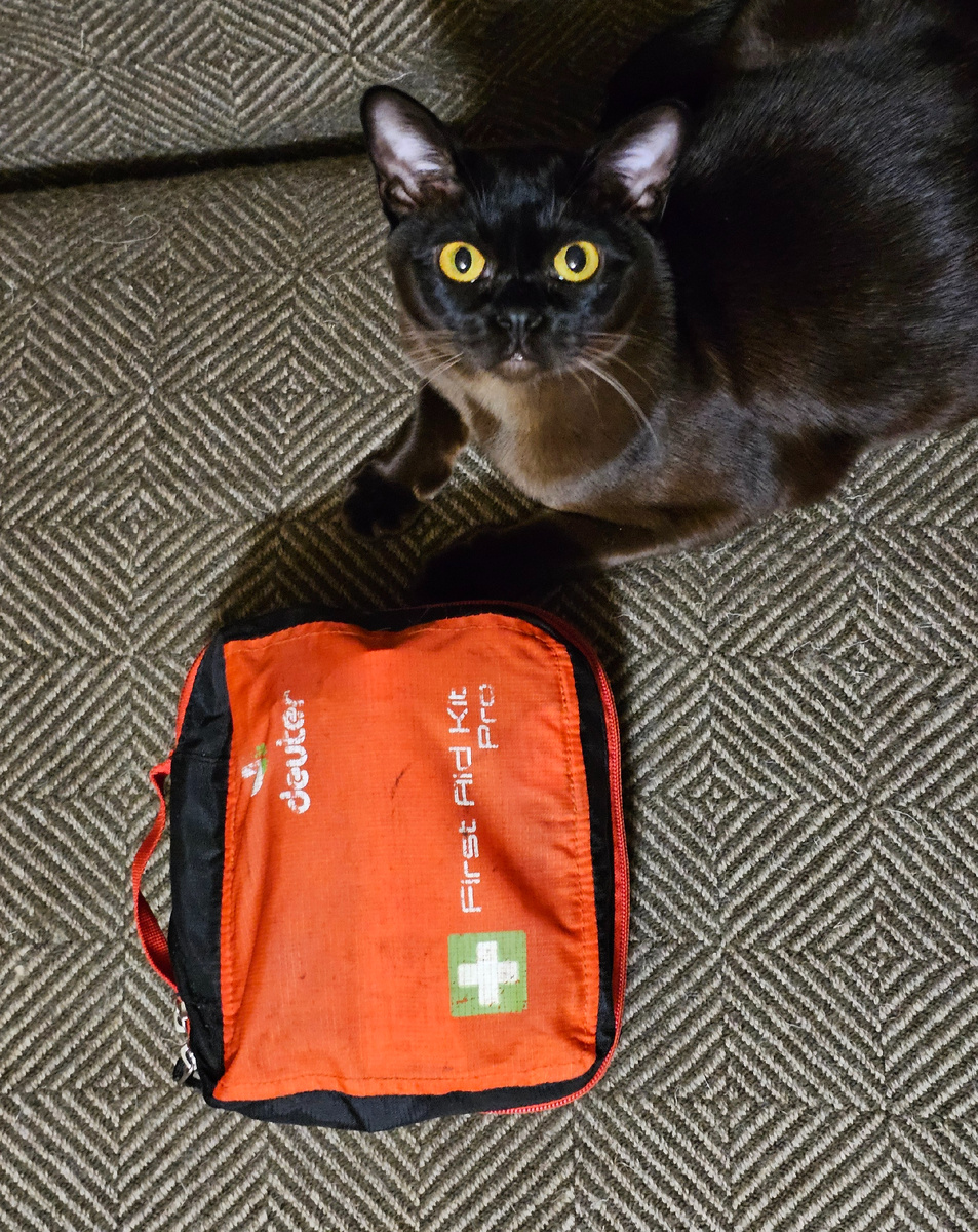 Укладка в подсумке Deuter First Aid Kit Pro... и котёнок Олаф