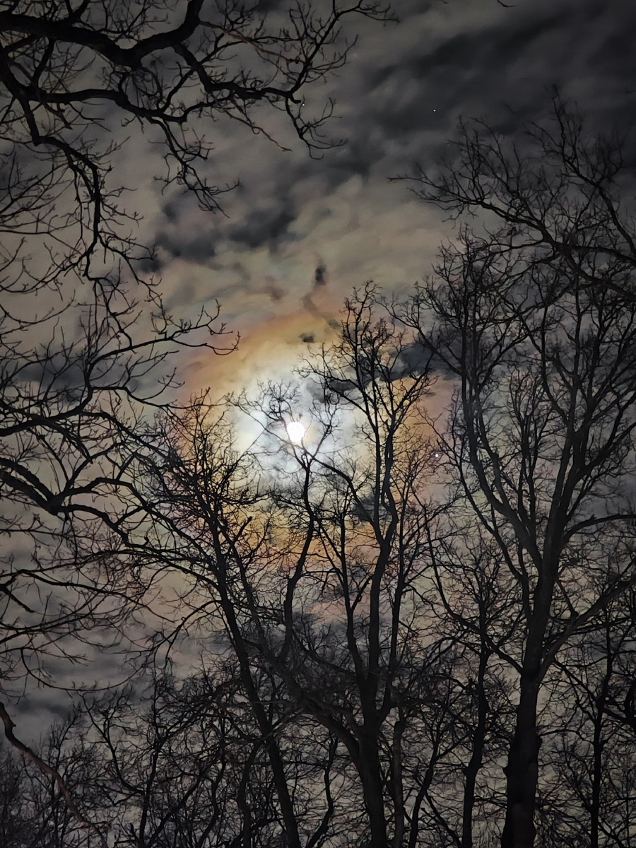 «Темная ночь» перед рассветом 