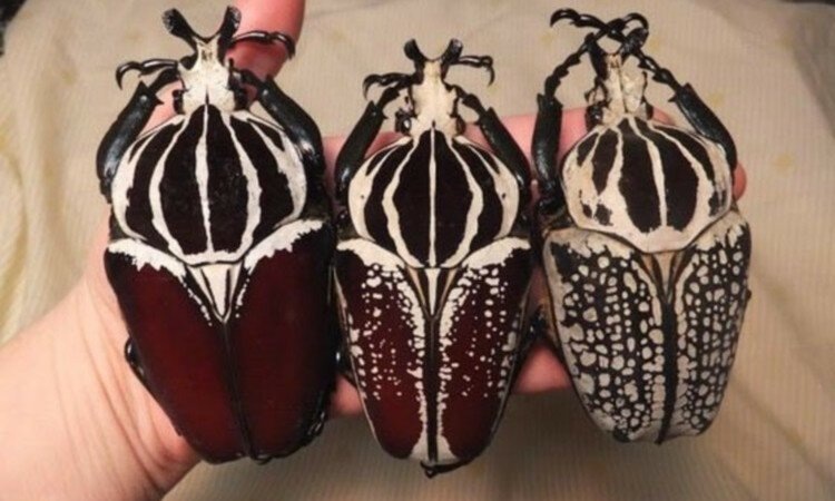 Источник: moslife.net