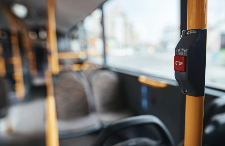    Фото: freepik.com/Drazen Zigic Ксения Зиннер