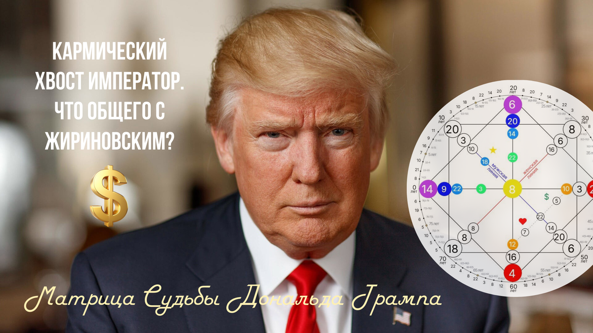 Матрица судьбы Дональд Трамп