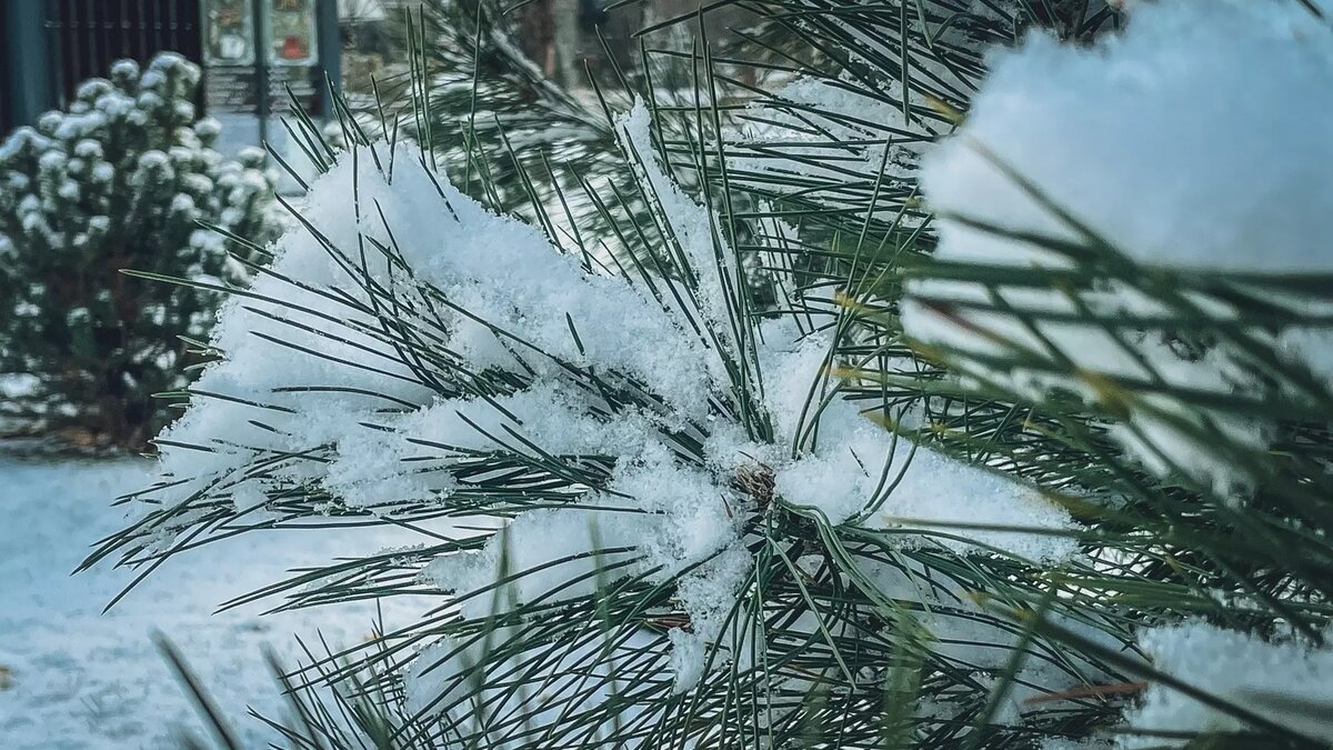     Источник: 1MI