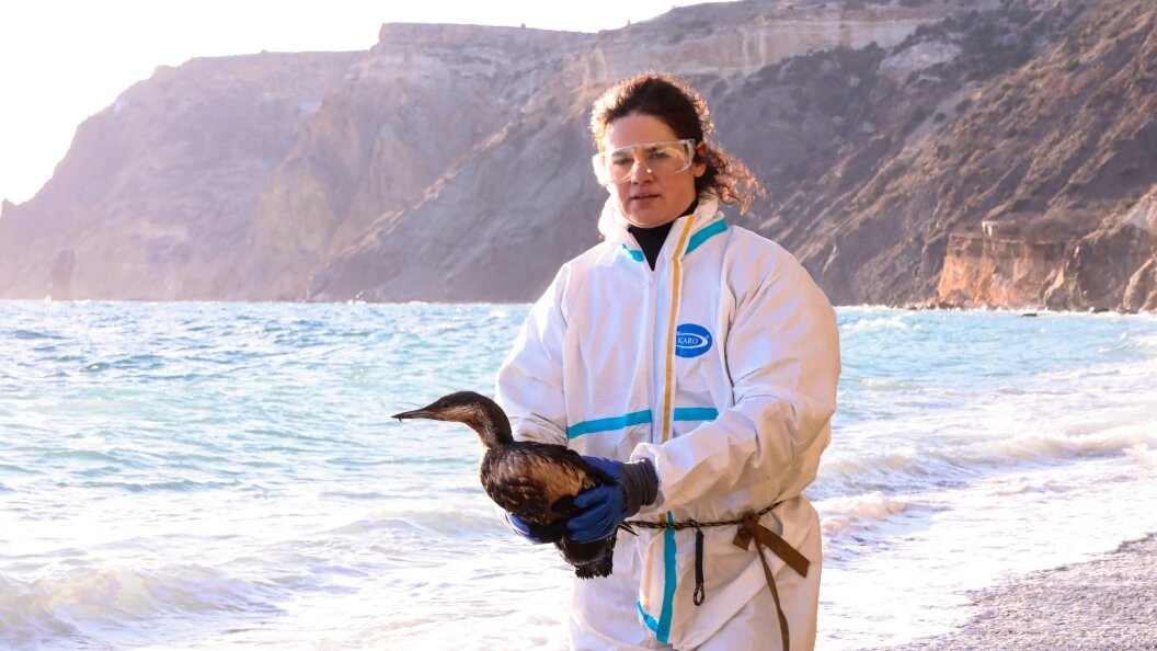    Roman Naumov/Globallookpress