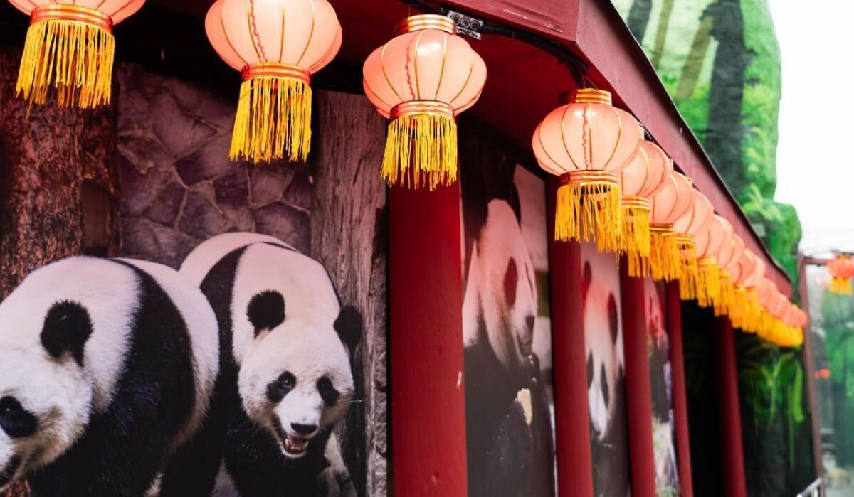     Тематика праздника в зоопарке. Источник: t.me/svetlanaakulova1 Автор фото: Светлана Акулова