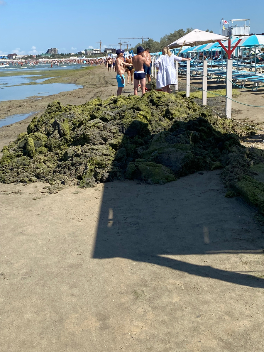 Что мы увидели в первый день на пляже