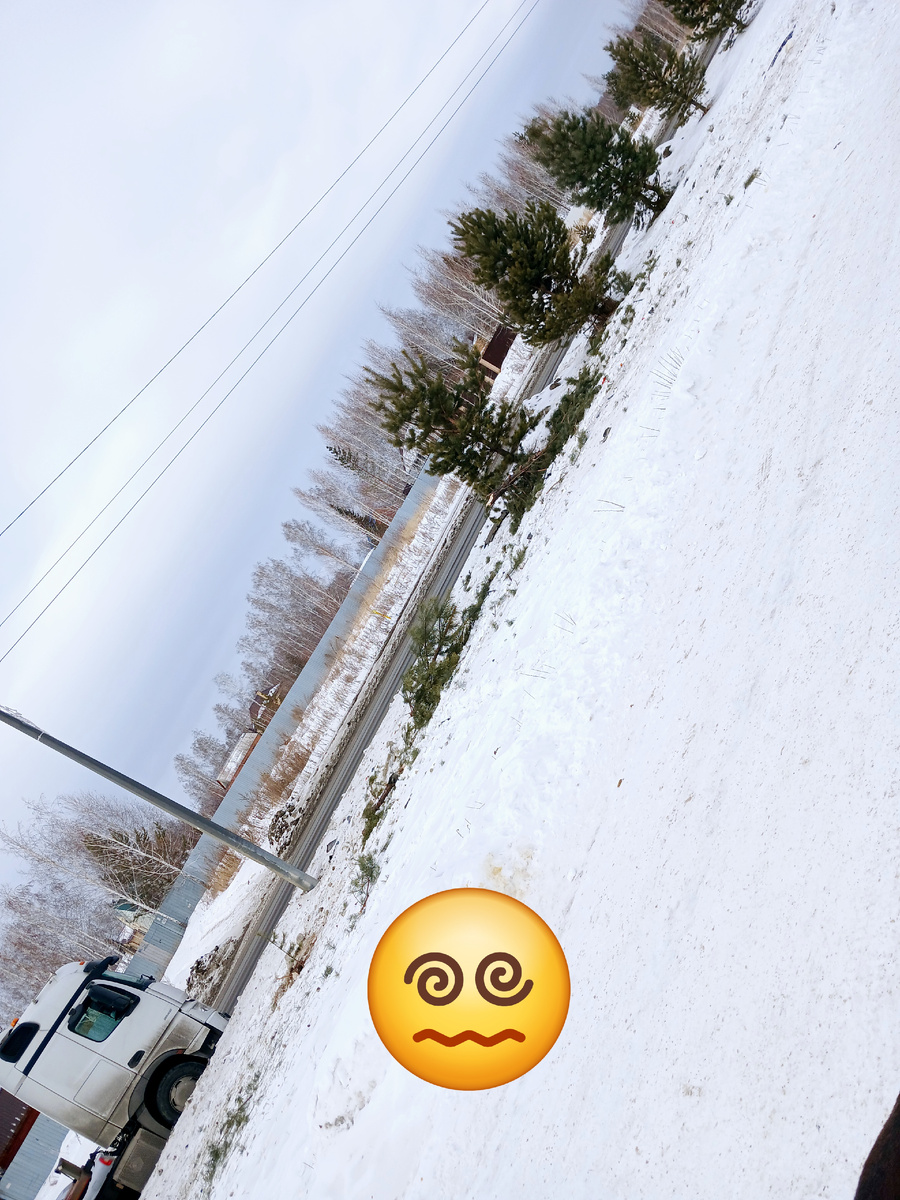 Вот это место, сосны лежат на снегу. Фото автора