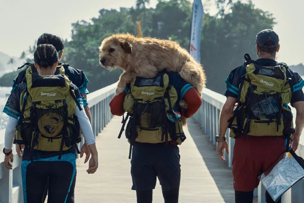 «Артур, ты король». Фото: кадр из фильма