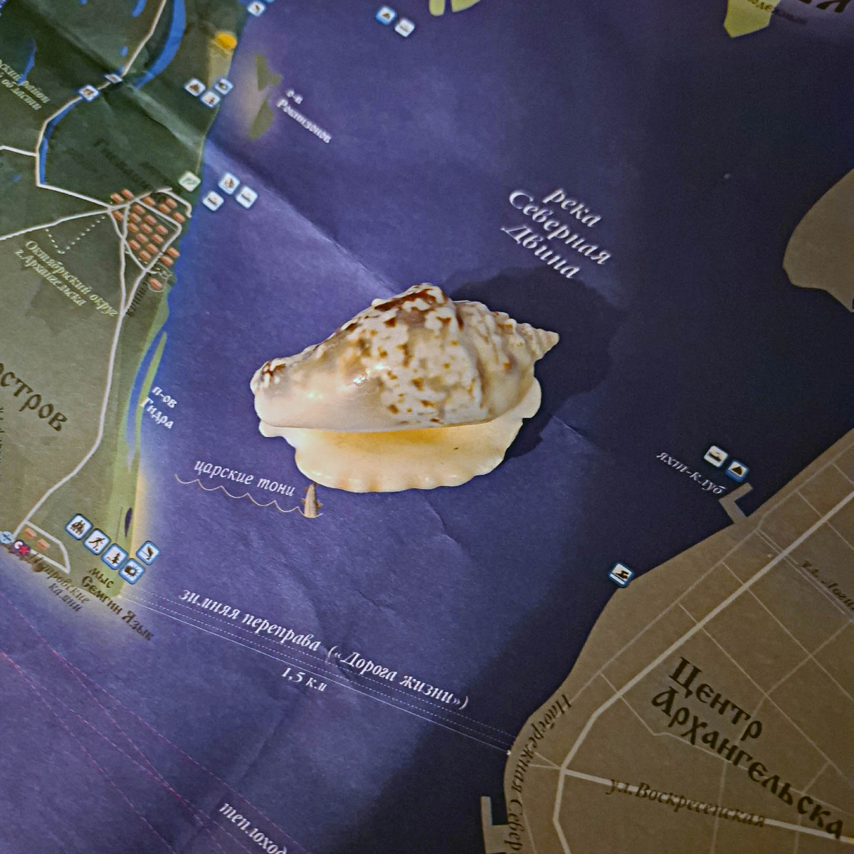 Присмотритесь к карте, заметите «Дорогу жизни» - из центра Архангельска на Кегоостров. Кстати, бесплатные путеводители можно взять в туристическом инфоцентре на Чумбаровке.