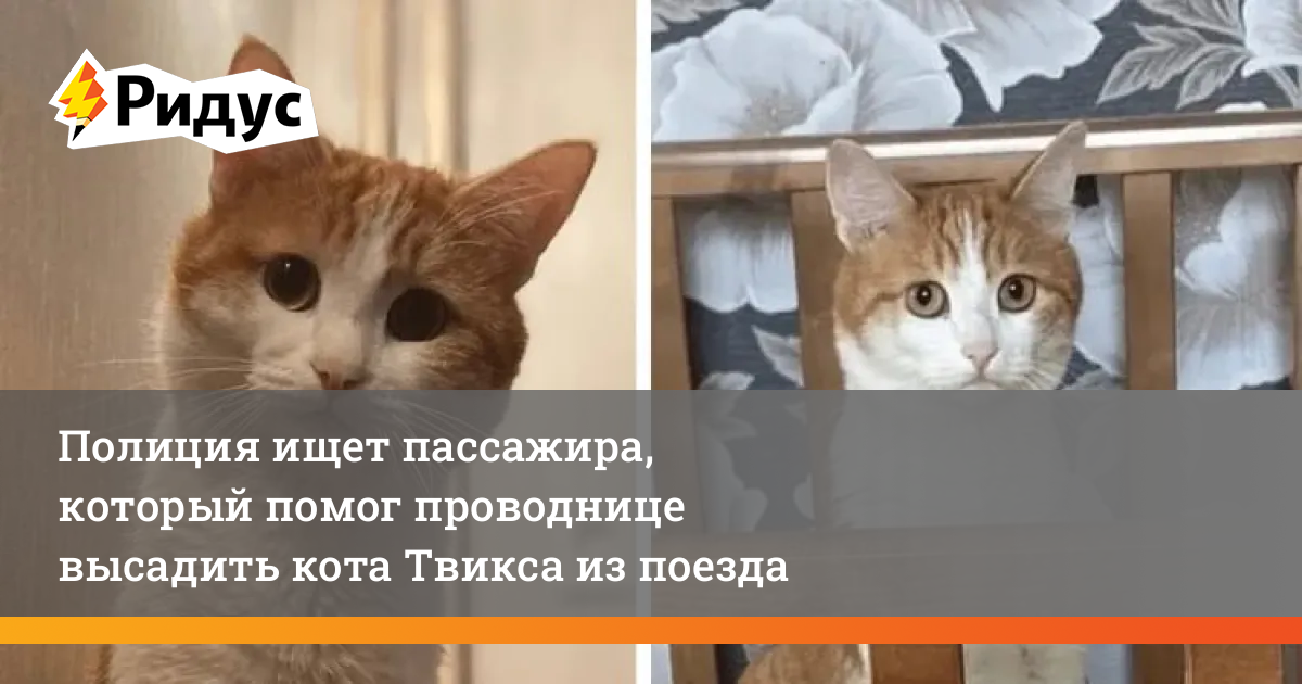 Фото: www.ridus.ru